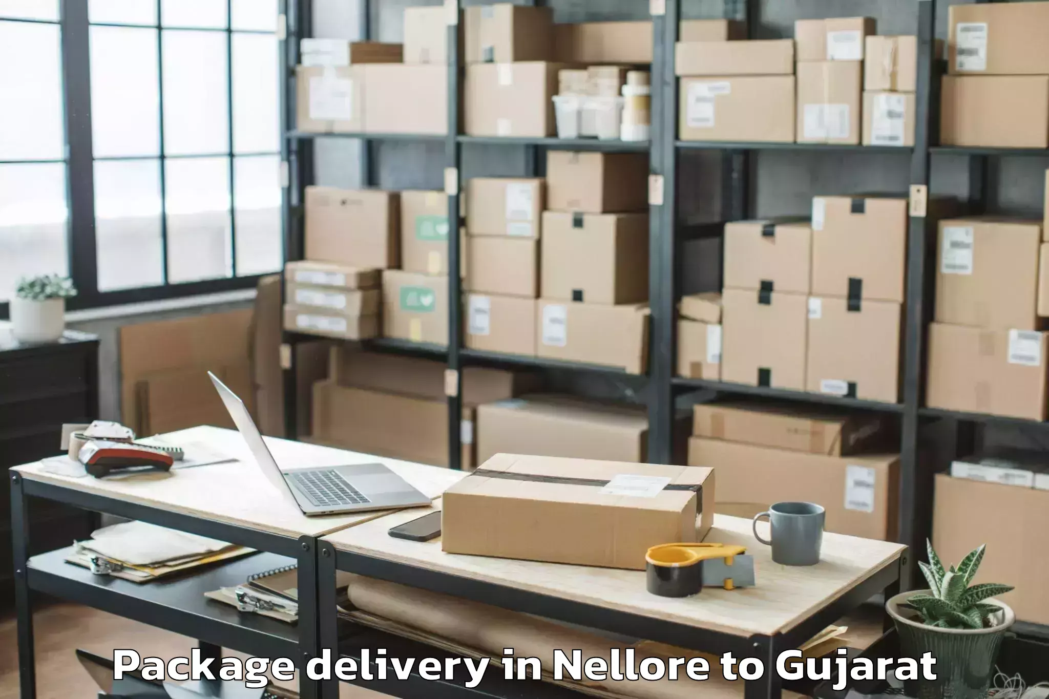 Book Nellore to Visavadar Package Delivery Online